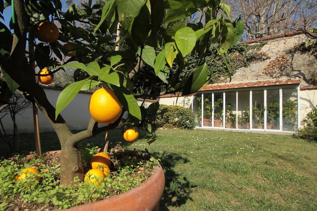 Il Diospero B&B Firenze Eksteriør bilde
